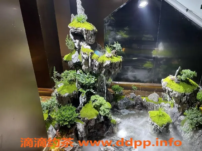 厦门spa会所-湖里高端会所煦，135斤，专业按摩服务