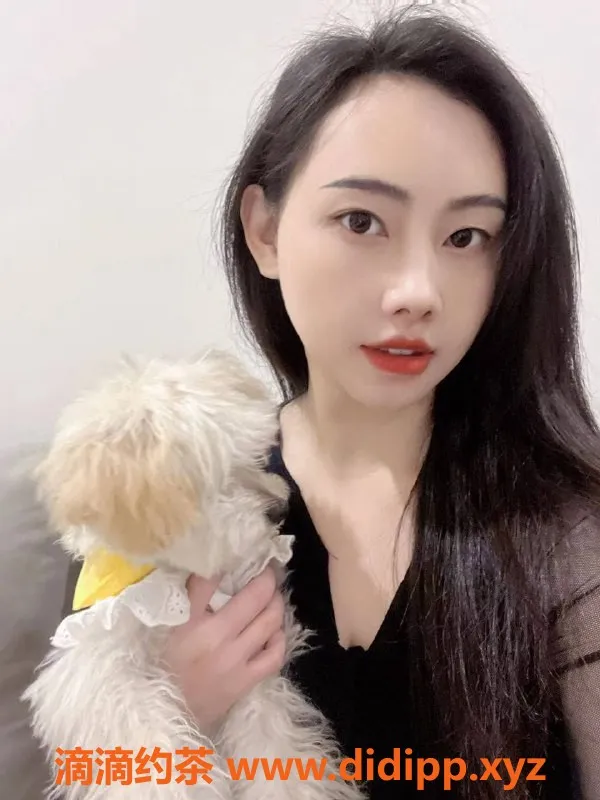 佛山楼凤-禅城阳阳 500p+1可69 大波女优