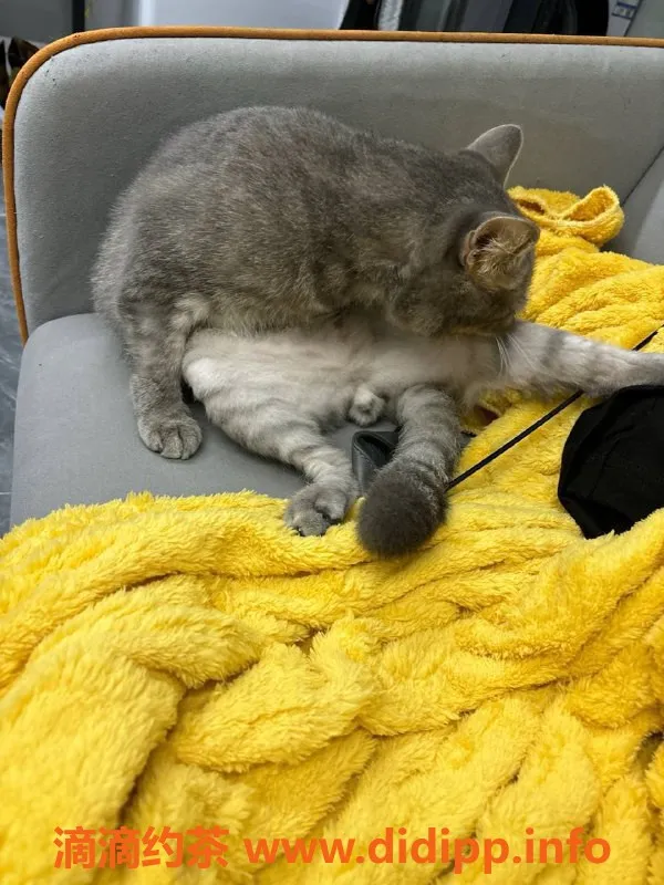 南宁楼凤资源信息,青秀区盲盒工兵系列，600元体验