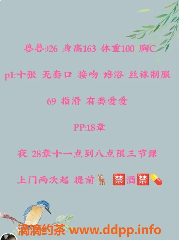 北京上门服务-朝阳兽兽，163高50重，千元夜服务