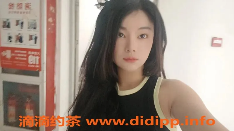 杭州楼凤-亲民猫猫—钱塘区域的灵动魅力