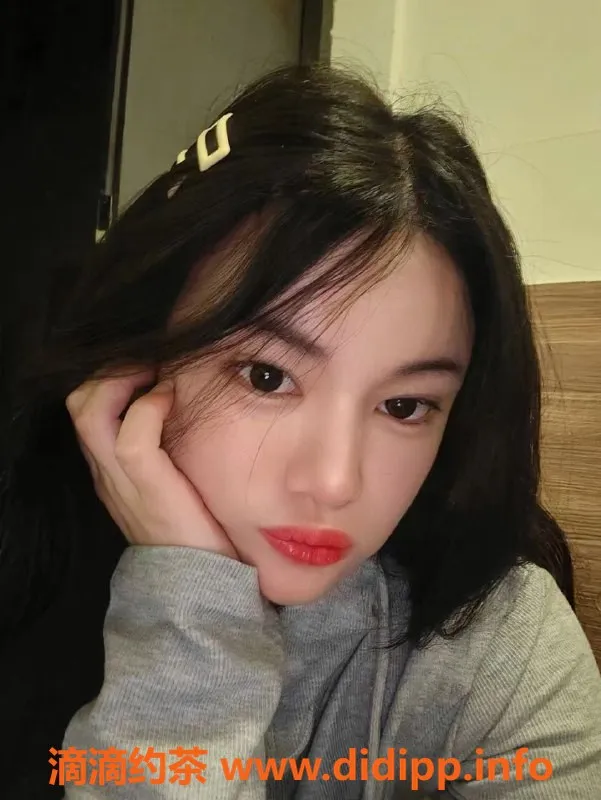 杭州楼凤-亲民猫猫—钱塘区域的灵动魅力