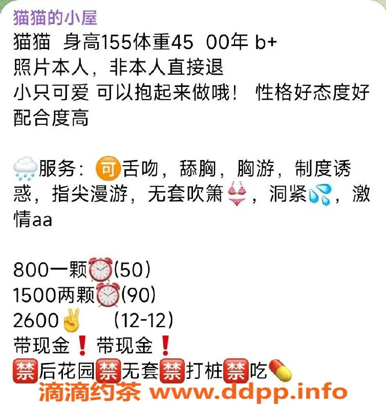 杭州楼凤资源信息,亲民猫猫—钱塘区域的灵动魅力