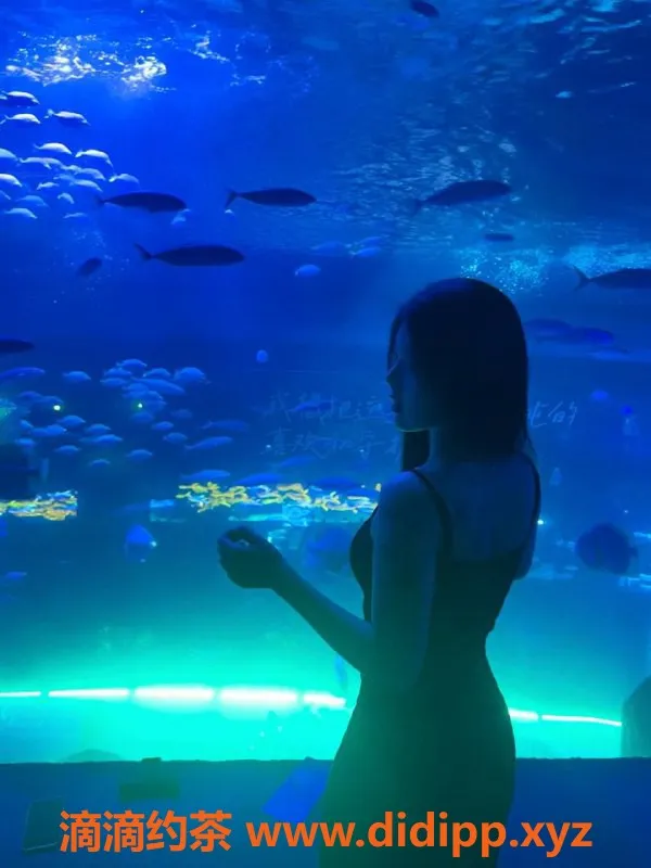 东莞楼凤-万江姗姗，18岁162cm，97斤清新妹子等你来约！