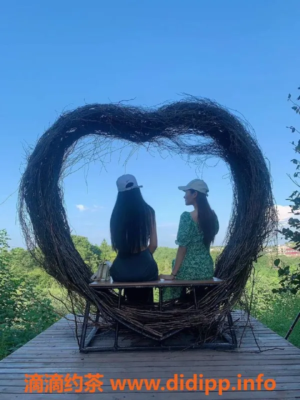 杭州楼凤-上城区小肥羊 20岁168cm 65kg 丰满型双飞体验