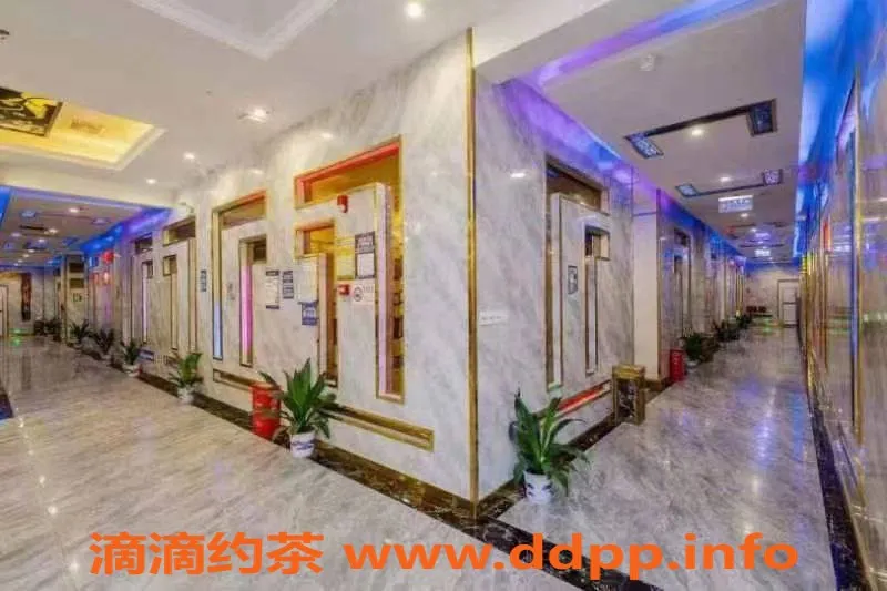 深圳spa会所资源信息,深圳龙华95口爆/老牌会所，价格538元起