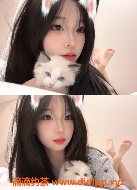 上海楼凤-静安熙熙福利！只需1100P，机不可失