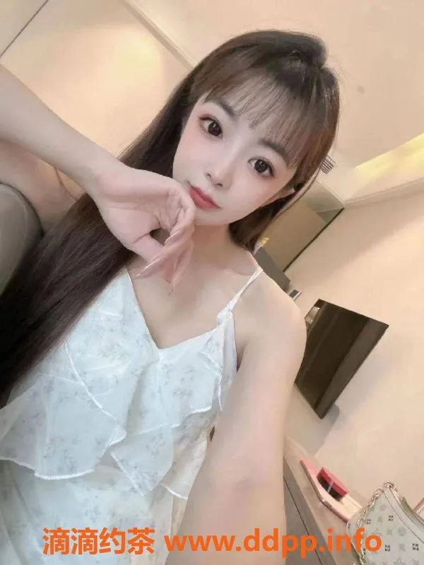 杭州上门服务-拱墅区可爱猫猫，上门服务仅1200元