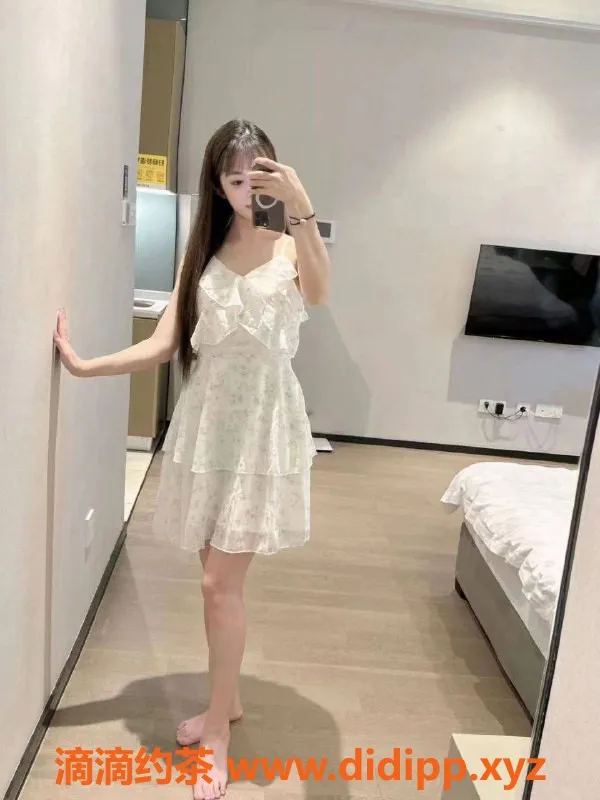 杭州上门服务-拱墅区可爱猫猫，上门服务仅1200元