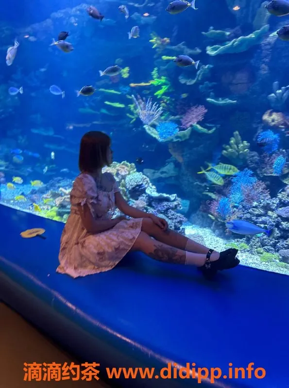 广州楼凤资源信息,白云嫩妹二妹，600元约会体验