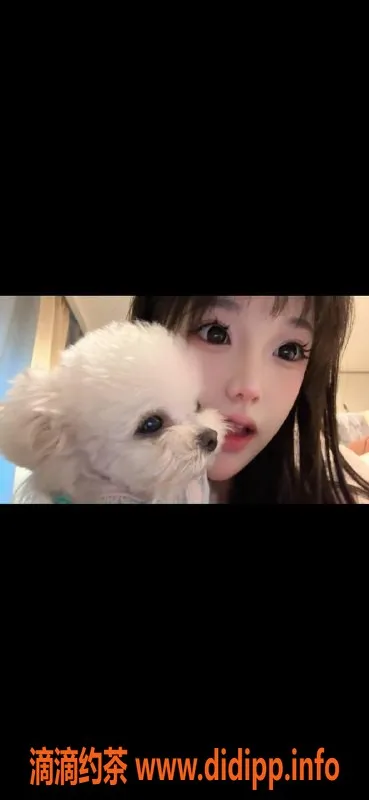 杭州上门服务-小猫咪上门服务，西湖出发，适中价格