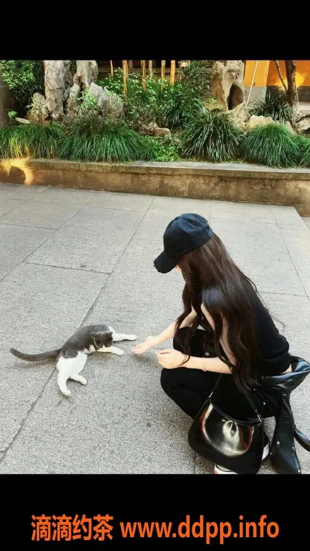 深圳楼凤-南山晚睛，850/次，已验证，服务体验极佳