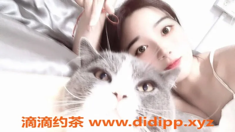 广州楼凤资源信息,天河嫩妹倩倩，700元超值体验！