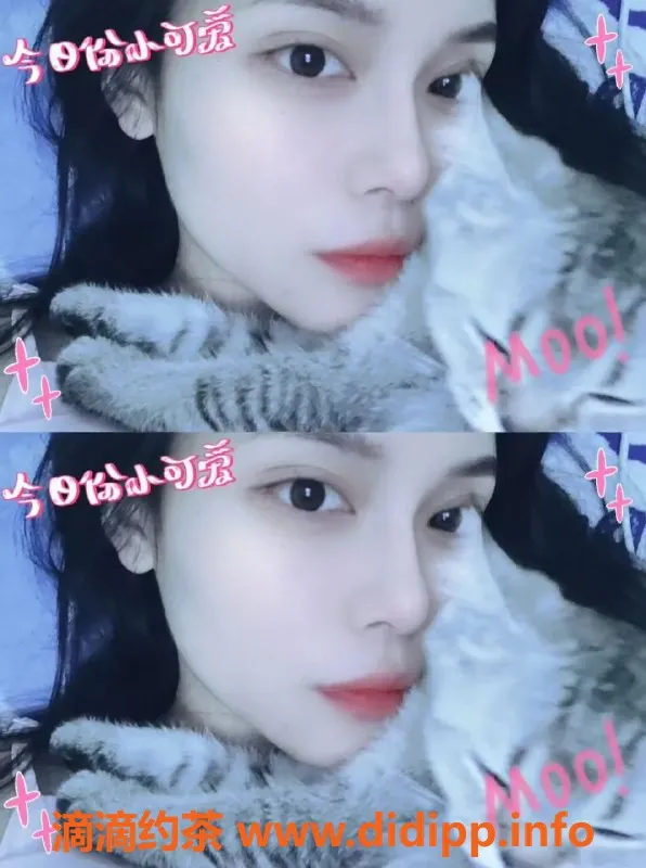 杭州楼凤-滨江区白素素，164cm，80斤，800元起