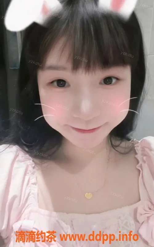 深圳楼凤-世界之窗可爱兔，令人心动的服务体验