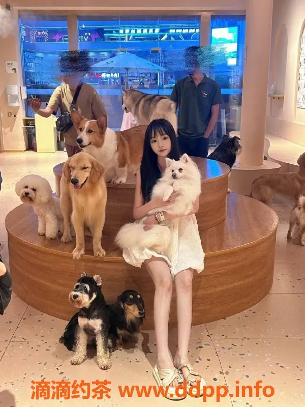 长沙楼凤资源信息,提莫：雨花区29岁迷人女神，身高165，优质服务