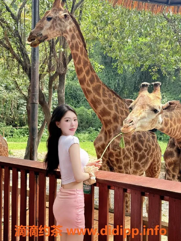 深圳楼凤-小泡泡：2500元外出服务 特色六九体验