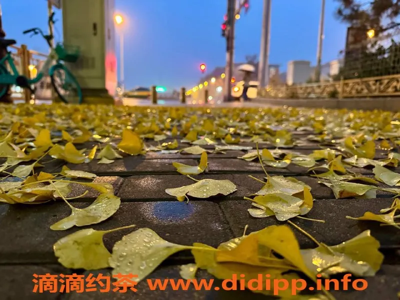 武汉上门服务资源信息,洪山昙花 165身高 D罩杯 性感女友系 500元起