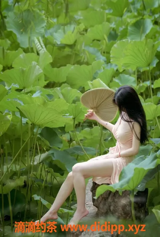 上海楼凤-静安嫩妹白鹿，166cm 36D，2000元起