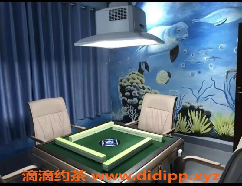 广州spa会所资源信息,白云石井高端会所，热情美女95.97魔棒服务