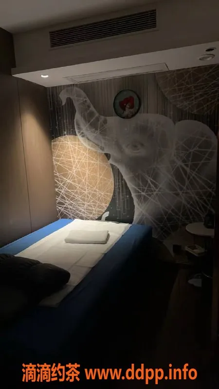 广州spa会所-荔湾区95会所，奢华随心，超值服务