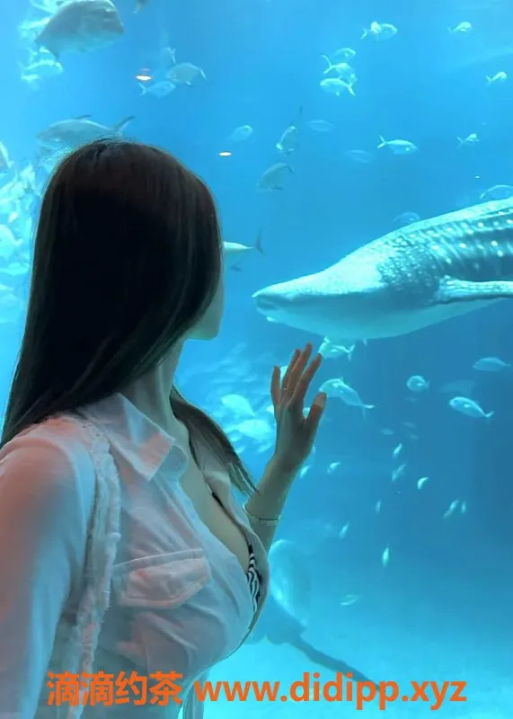 深圳楼凤-南山小海绵，舌吻制服服务，1100元起