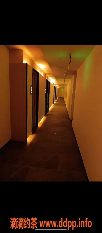 深圳spa会所资源信息,深圳全套公寓快餐 体验价格400-600