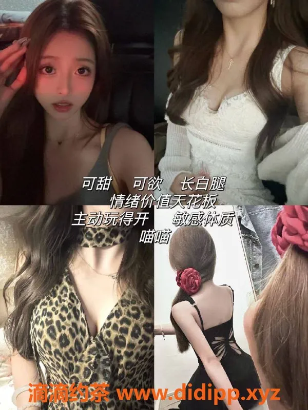 杭州女仆店-杭州幻想岛女仆 - 亲密陪玩服务 尖叫好评