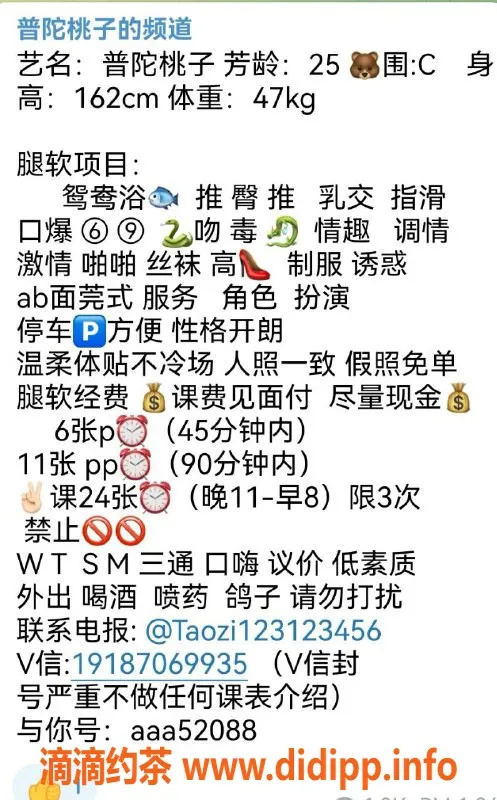 上海楼凤-上海桃子 26岁 C罩杯 98斤莞式服务