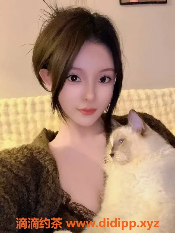 东莞楼凤-常平沈安琪，温柔可爱，优质服务，600元体验