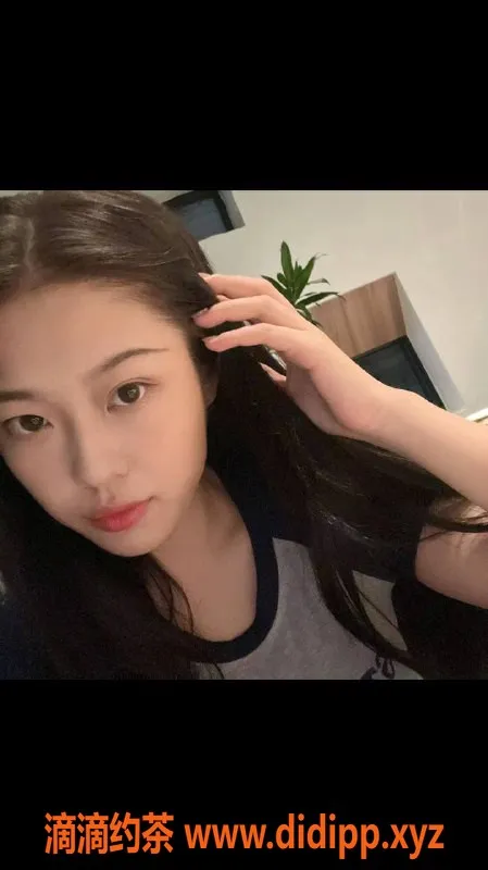 广州楼凤资源信息,广佛踩雷赔款中介，优质服务为您定制