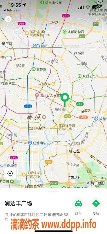 成都楼凤-锦江区嫩妹乐儿，166cm/59kg，600p起代聊服务