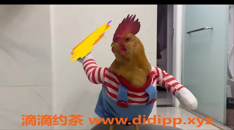 深圳楼凤资源信息,深圳小仙女，皮肤白，1500P起，服务超棒！