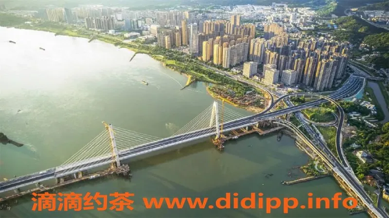 福州楼凤资源信息,福州闽侯47号萝莉，亲密Kiss一小时只需268元！