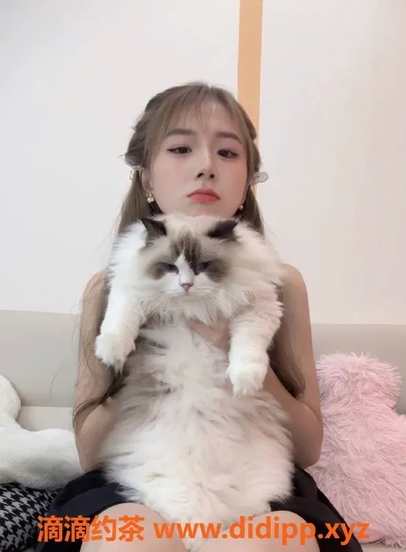 武汉楼凤资源信息,汉口可妍—超贴心，性价比高的优选