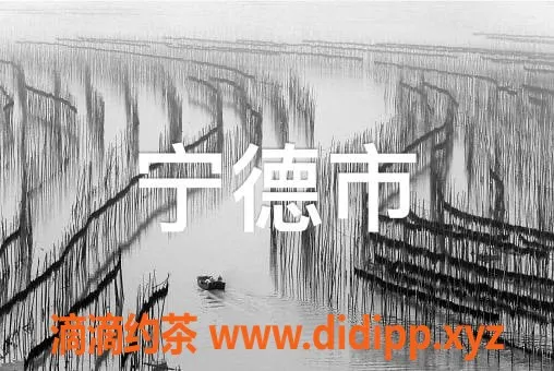 福州楼凤资源信息,68号 宁德精选 甜美服务体验等你来尝！