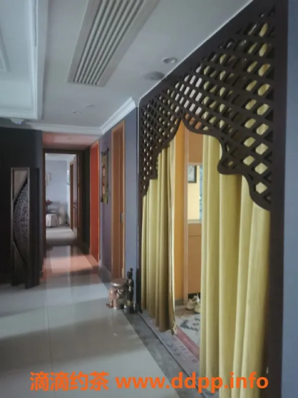 深圳上门服务-广州佛山深圳，特推之星，项目全任你选