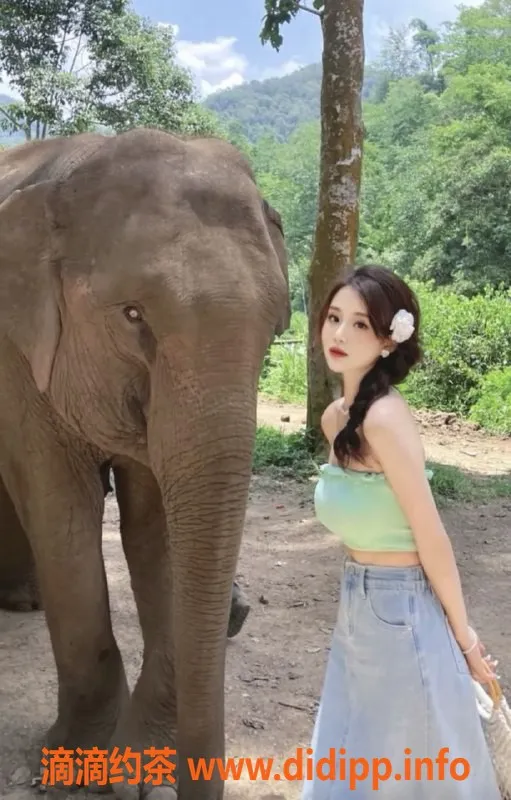 广州楼凤-佛山英子，8P服务，颜控御姐大胸