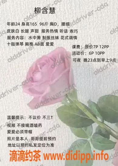 成都楼凤资源信息,南门金融城柳含慧，24岁D罩杯，600p高端服务