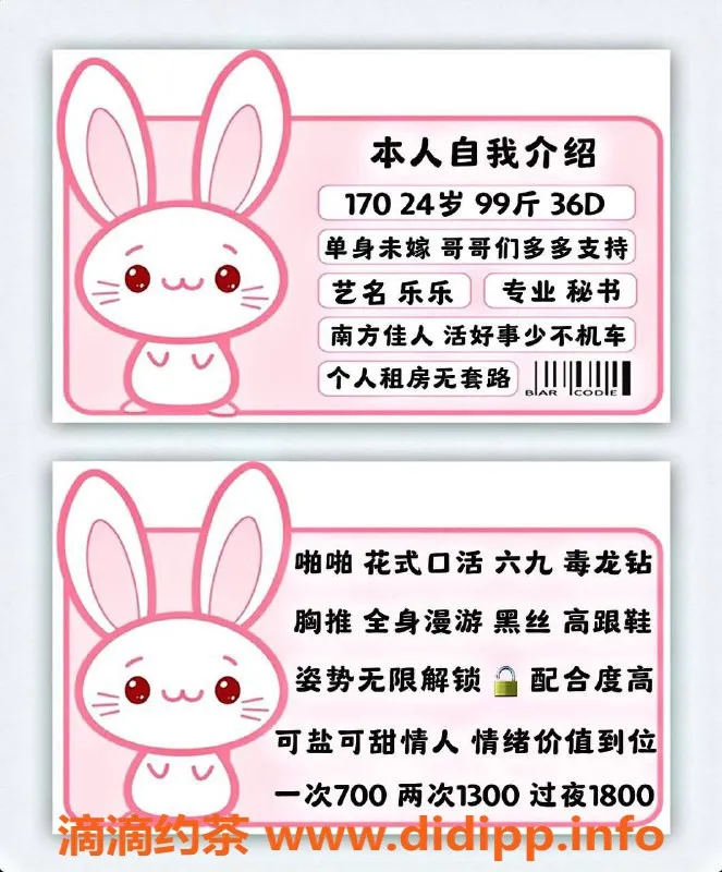 北京楼凤-丰台秘书乐乐，700元性价比高