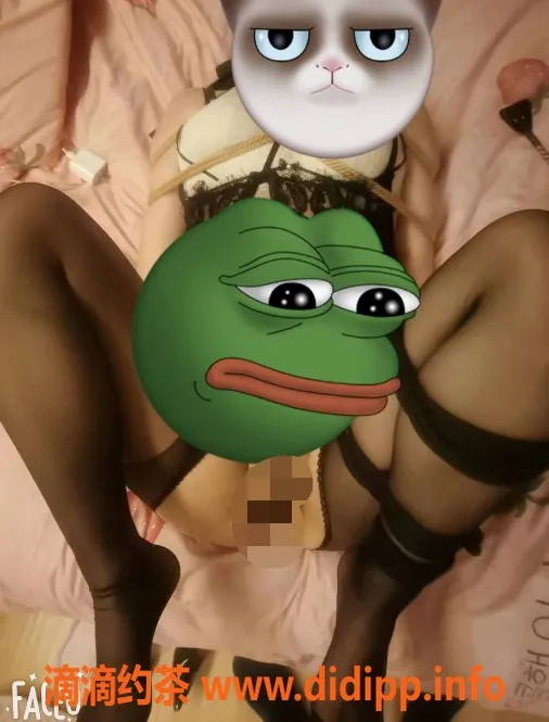 重庆楼凤-江北白芷，火爆活动，6p享受，性价比高