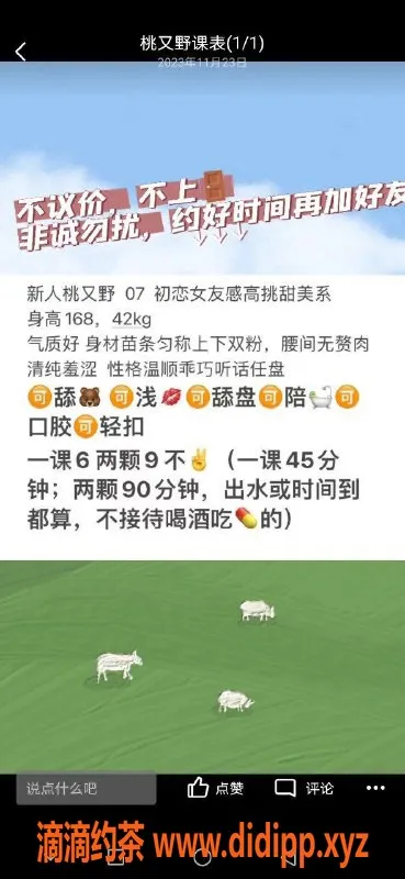 武汉楼凤-金地香香，优质服务，性价比高