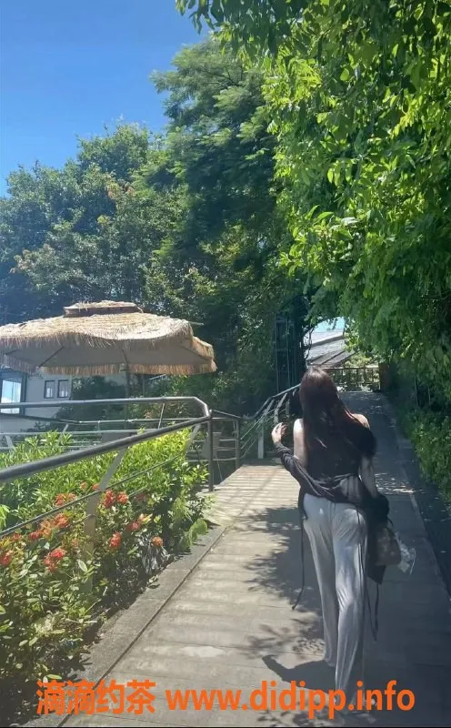 佛山楼凤资源信息,金沙洲小美，1000p起，服务超赞！