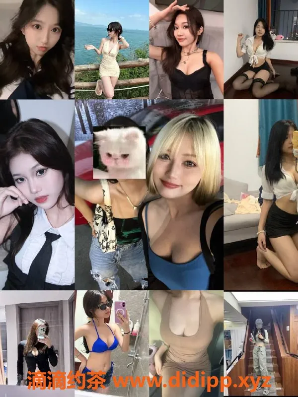 广州楼凤资源信息,广州天河顶级女仆服务，499元起