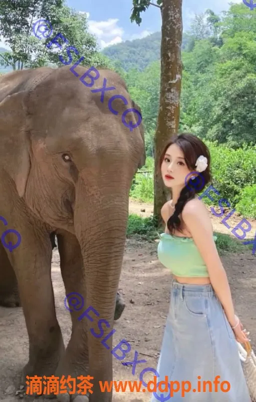 佛山楼凤-禅城英子 800元视频验证服务等你体验