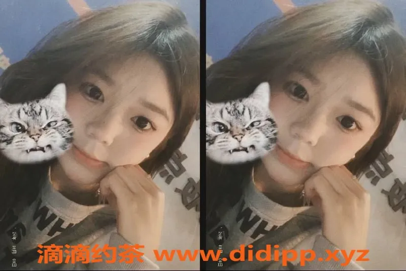 成都楼凤资源信息,成都成华区18岁可爱妹子，身高165，服务良好