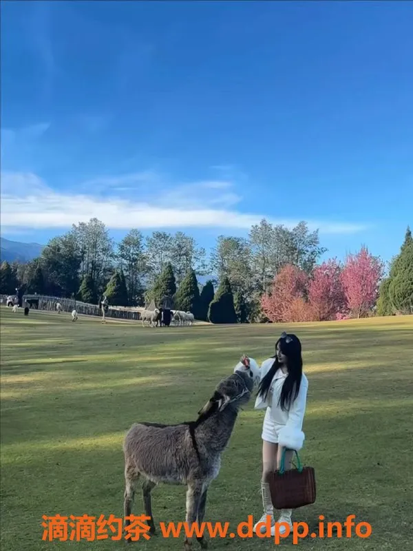 杭州外围资源信息,滨江区小老虎，21岁美少女，D罩杯，1200元享69互舔