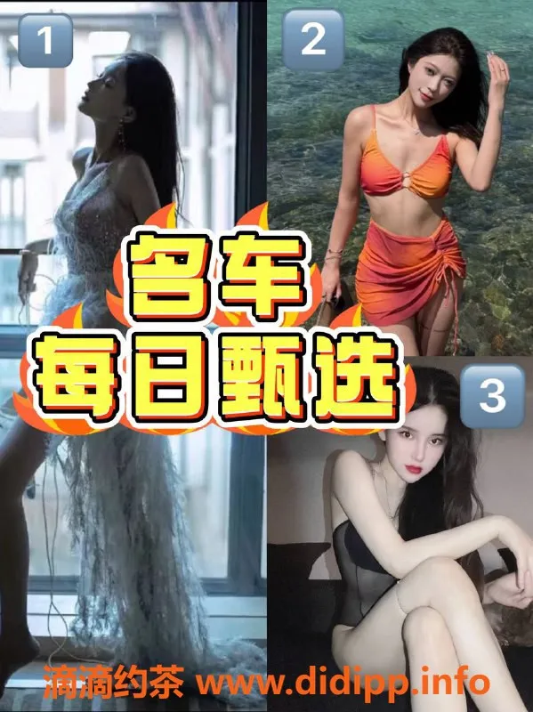 北京楼凤资源信息,窈窕淑女系列推荐，打破你的想象！