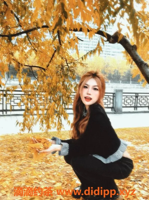 厦门楼凤-思明区贝贝，6张真实照片，电报咨询