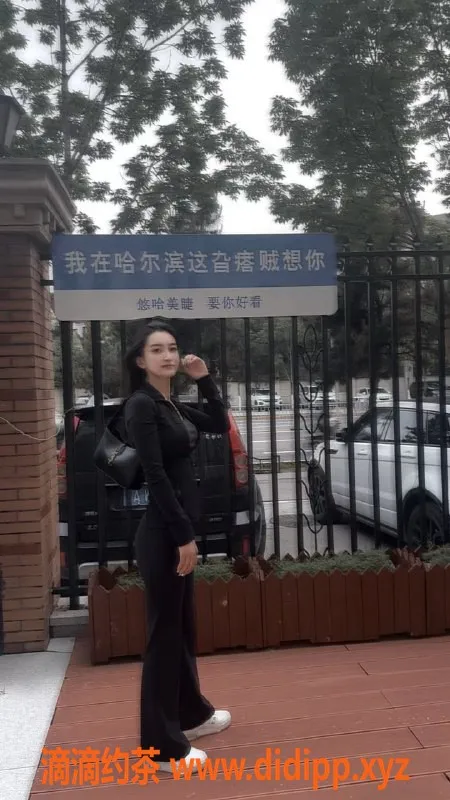 哈尔滨楼凤资源信息,哈尔滨王晴，1500元美丽体验